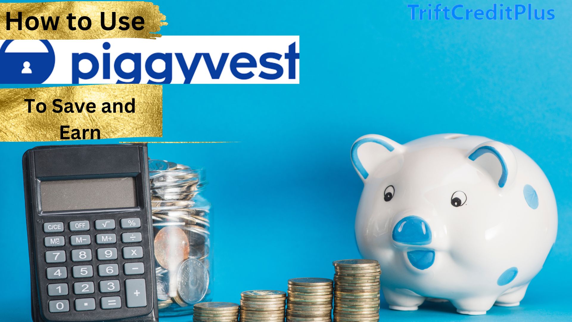 How to Use Piggyvest Save and Earn