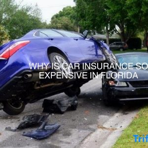 Why Is Car Insurance So Expensive in Florida?