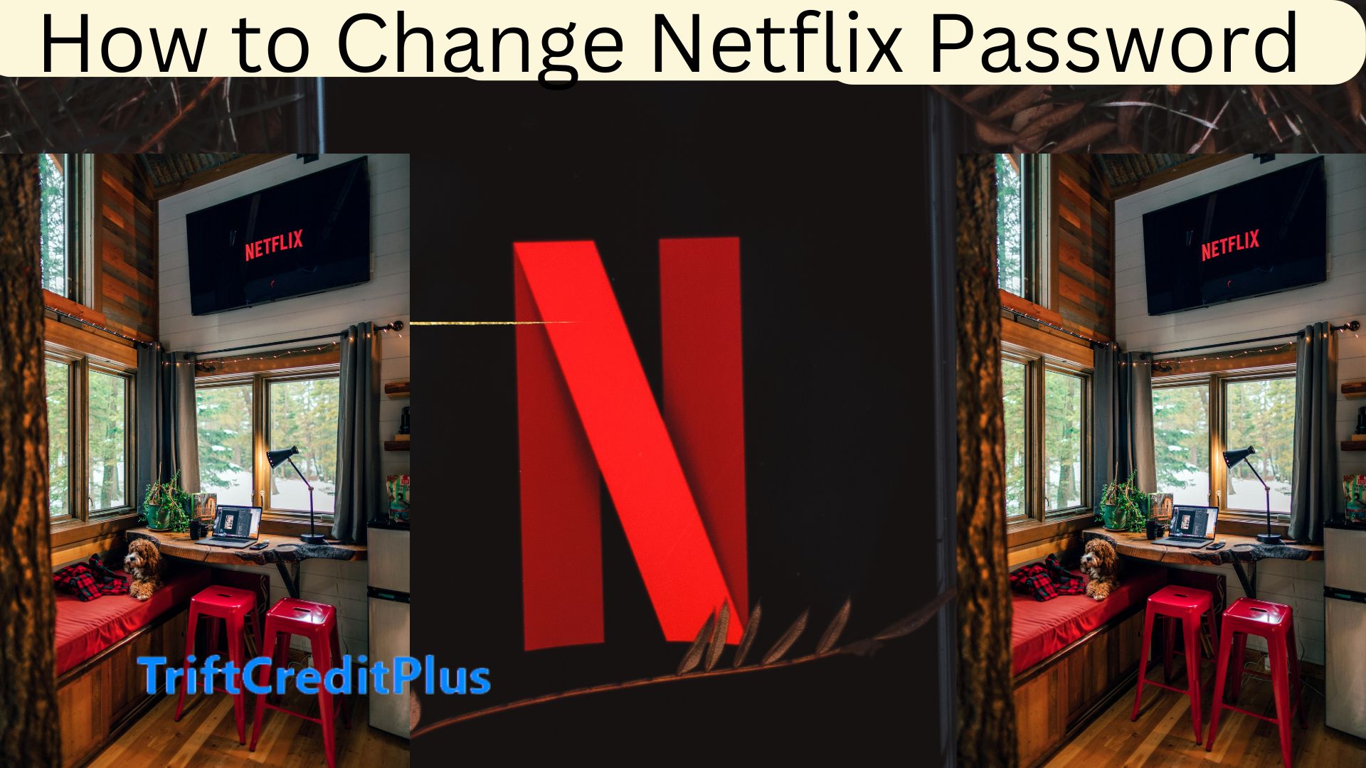 How to Change Your Netflix Password