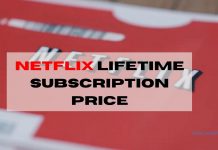 Netflix Lifetime Subscription Price